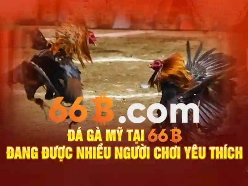 Thách thức và cân nhắc