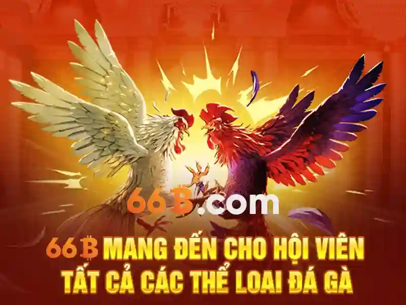 66B: Mô hình ngôn ngữ 66 tỷ tham số và những gì ta có thể làm với nó