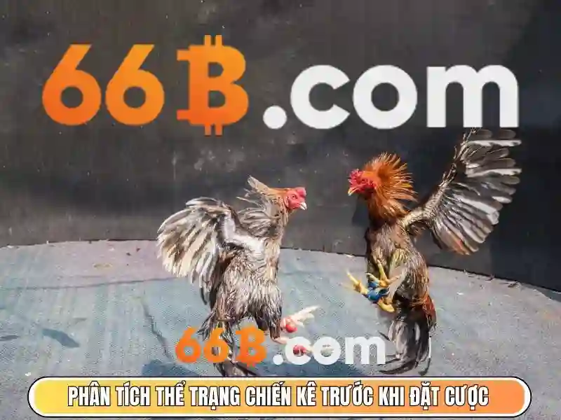 Sản phẩm và dịch vụ chính: 66b hạ long ứng dụng thực tế