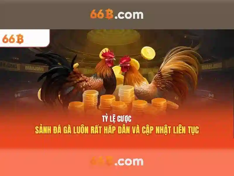 66b là gì và vì sao nó quan trọng\n\n