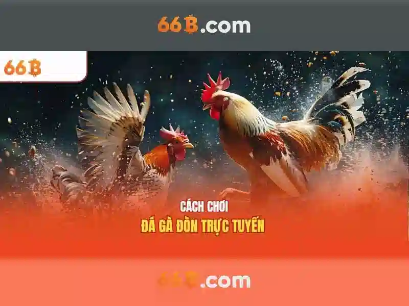 66B là gì?\n\n