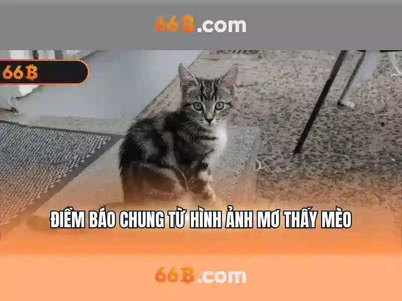 66B: khái niệm, cơ chế và ứng dụng\n