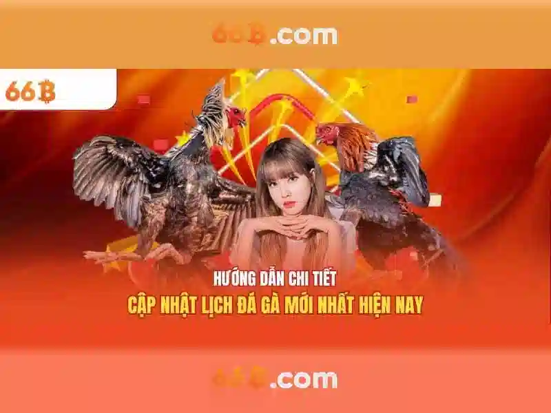 66b là gì\n\n