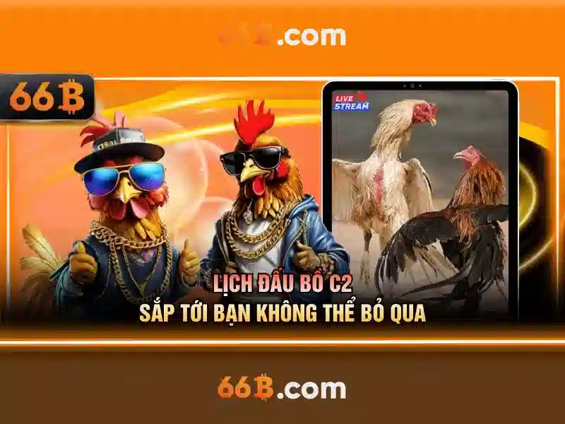 66b: một khái niệm số học và công nghệ