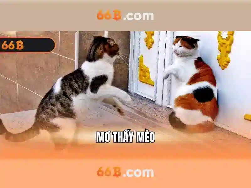 tài khoản 66b – tổng quan chủ đề và giá trị cốt lõi