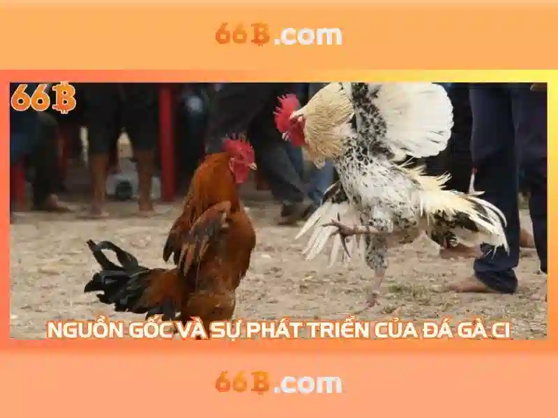 66b tặng tiền - hành trình trải nghiệm tối ưu cho người dùng