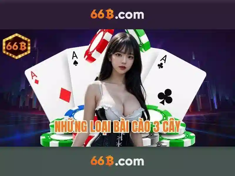 66b là gì và tại sao nó đáng chú ý