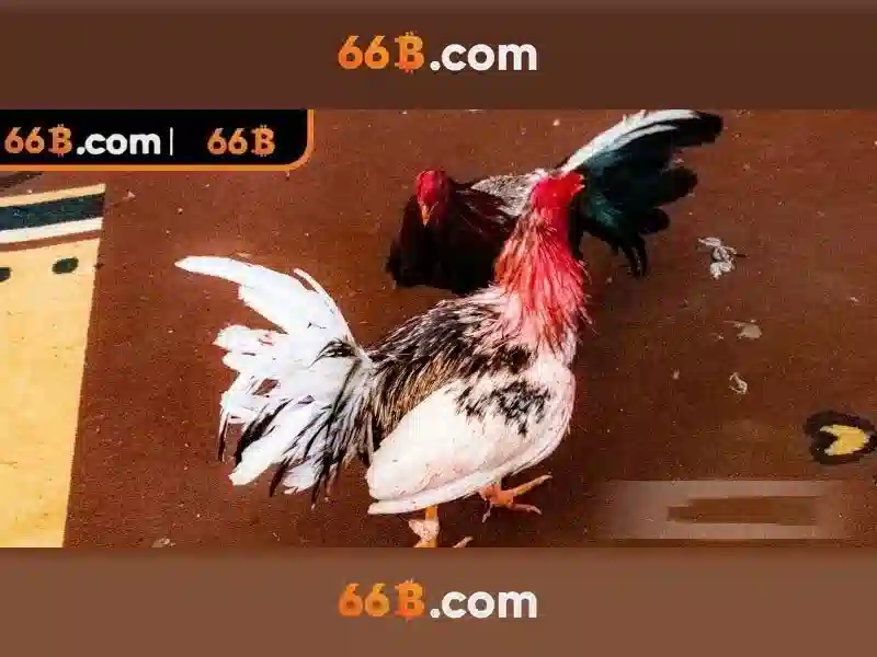 Kiến trúc và dữ liệu của 66B