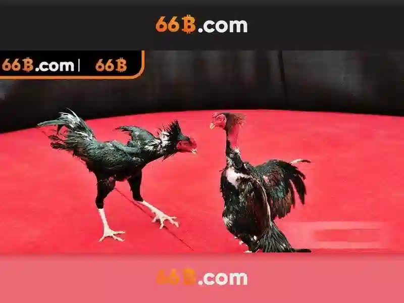 Thách thức và giới hạn khi làm việc với 66b
