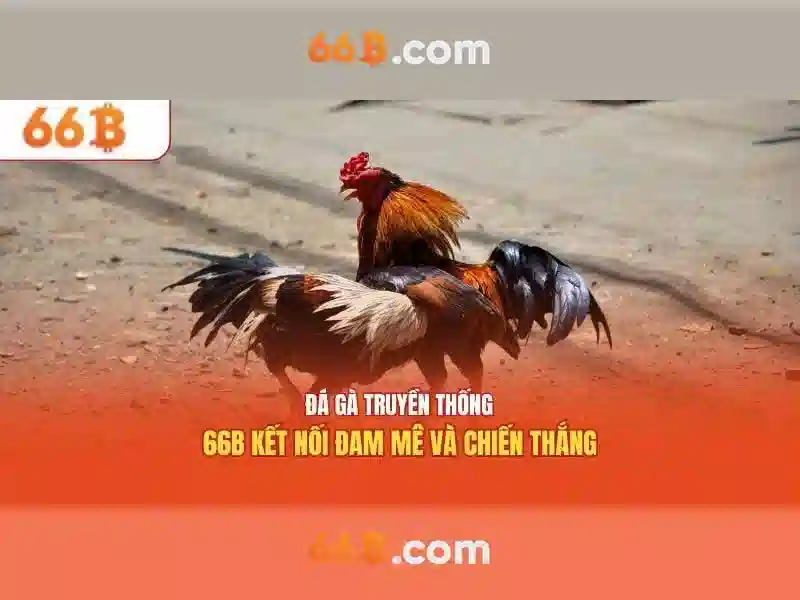 66B là gì và tại sao nó được quan tâm trong AI hiện đại