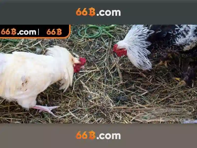 Kiến trúc và cơ chế attention