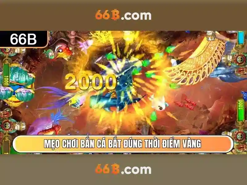 66b là một ký hiệu đa ngữ và đa nghĩa