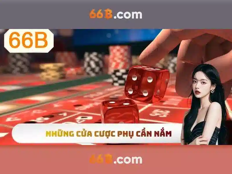 66b la gi: kha niem va ung dung