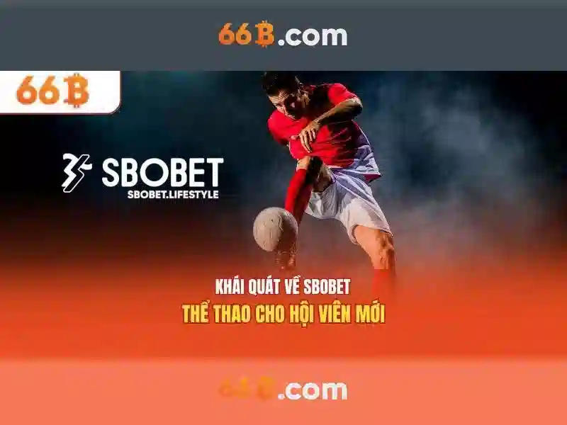 Kiến trúc và kích thước của 66b\n