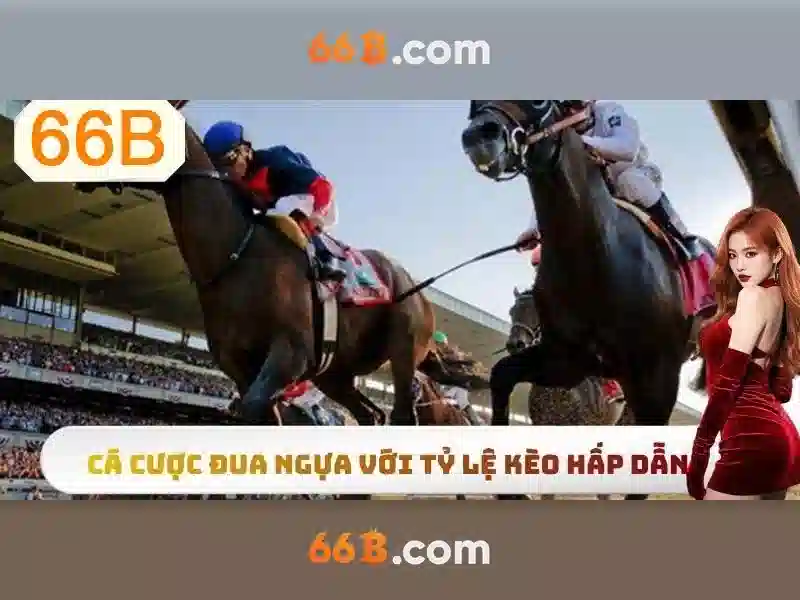 66b là gì?\n\n