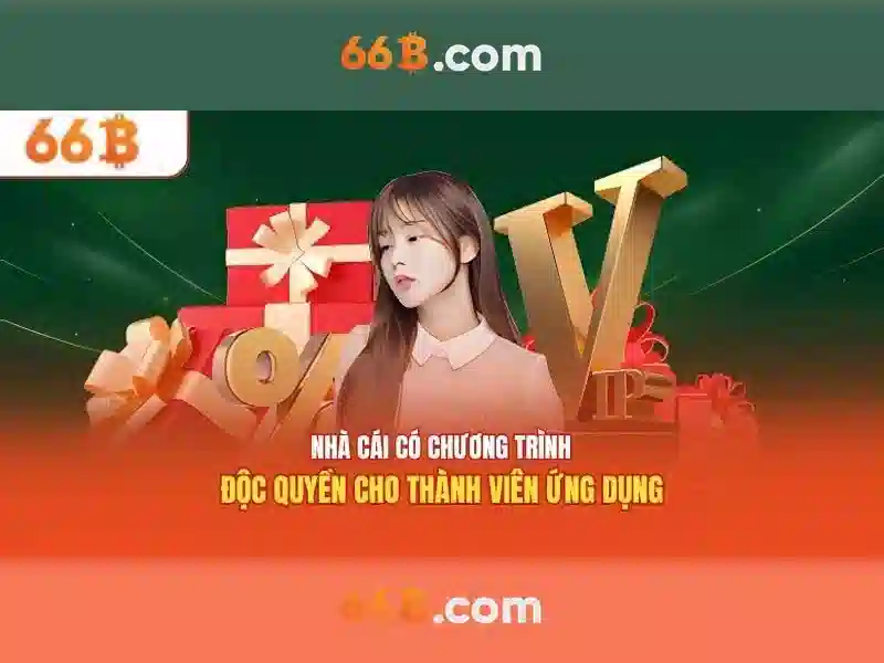 'Khái quát về mô hình 66B'