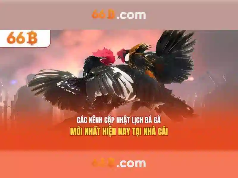 Thách thức và rủi ro