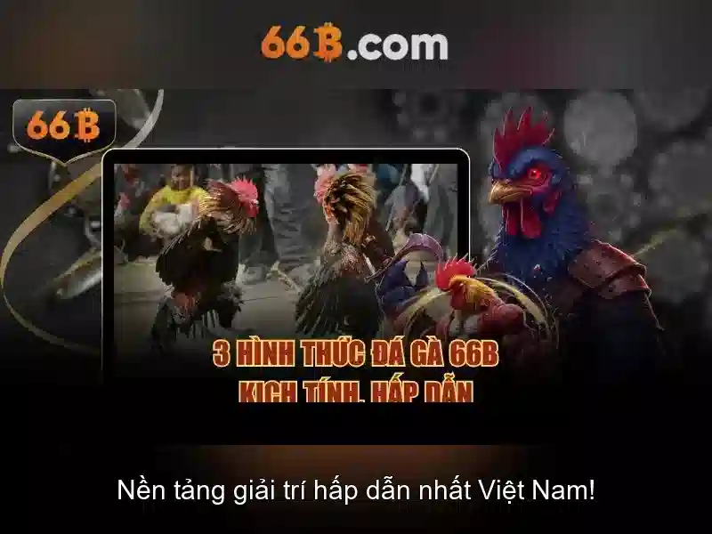 Hiệu năng và đánh giá
