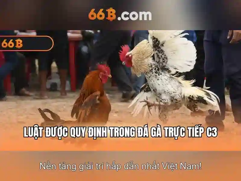 66B là gì?