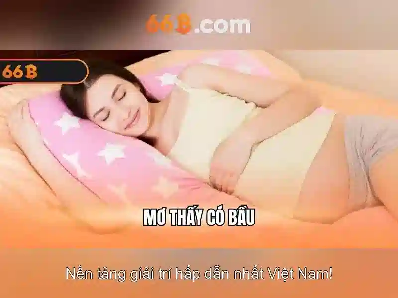Định nghĩa 66B