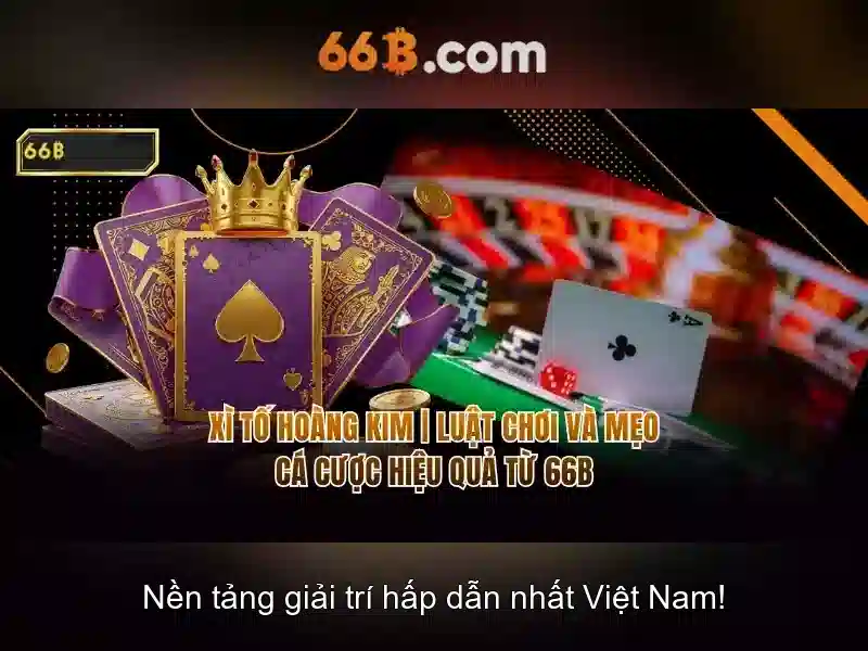 66b nguyen sy sach – câu chuyện thương hiệu và hành trình đổi mới