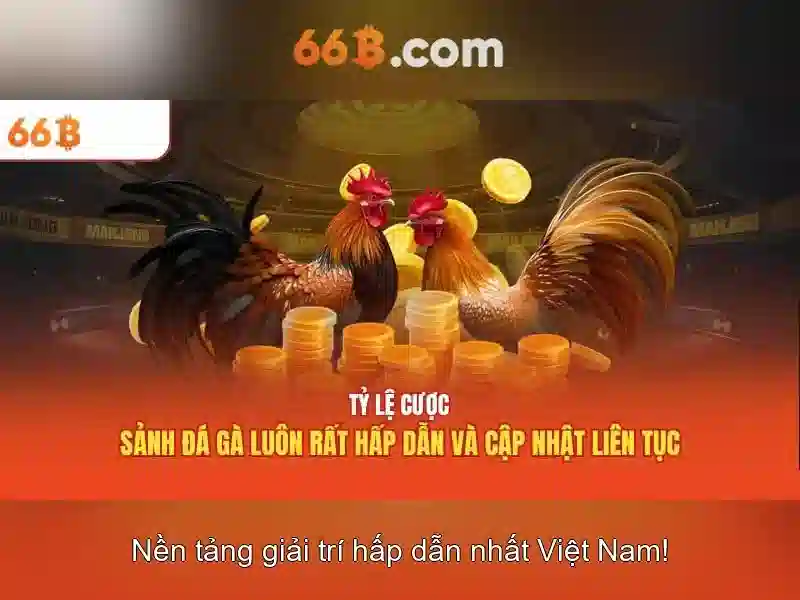 Phân tích số học và biểu diễn 66b