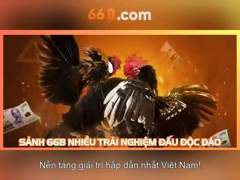 Ứng dụng thực tế của 66B\n