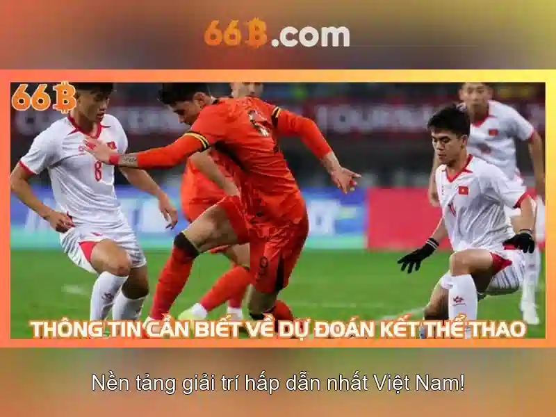 Khái niệm cơ bản về 66b\n