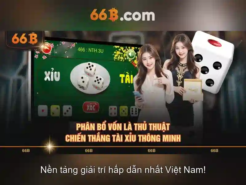 66b: hiểu biết về mã và ứng dụng