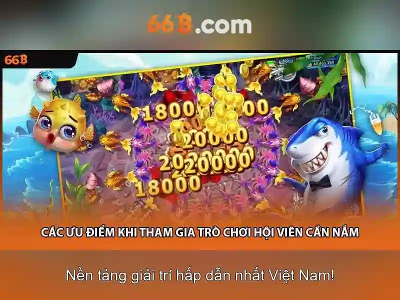 66b là gì?