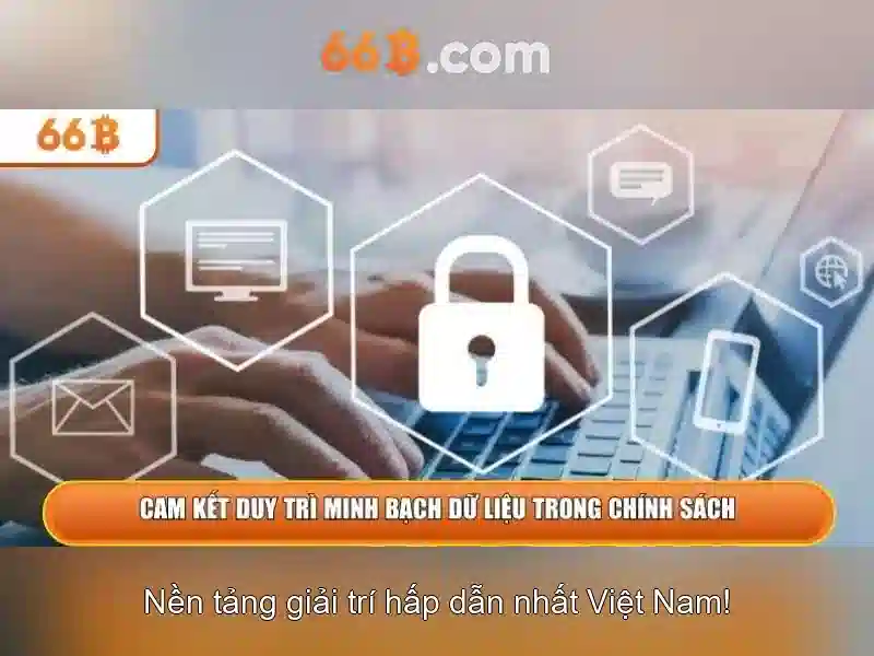 Thách thức, rủi ro và trách nhiệm khi dùng 66b