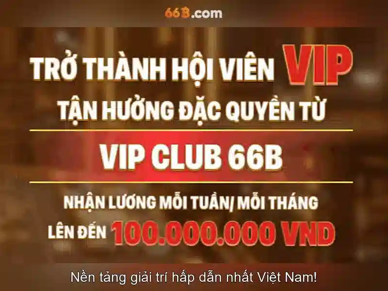 66b: một mã định danh đặc biệt