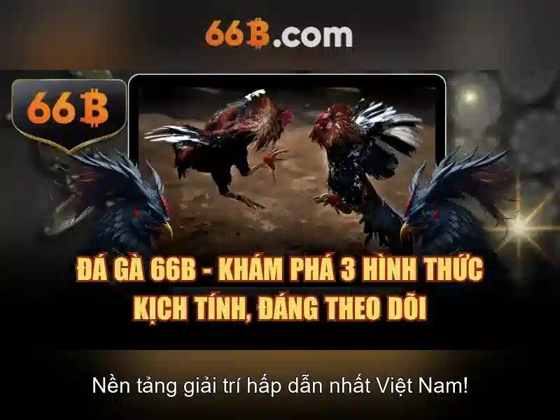 Các sản phẩm và dịch vụ của 66b triều khúc thanh xuân hà nội