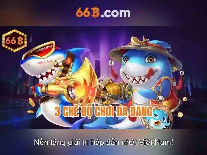 Giới thiệu về 66B