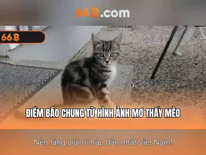 Hiệu suất và đào tạo