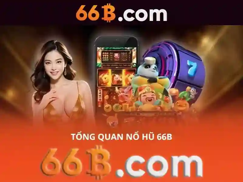 sources shein 66b may – Tổng quan và Giá trị cốt lõi