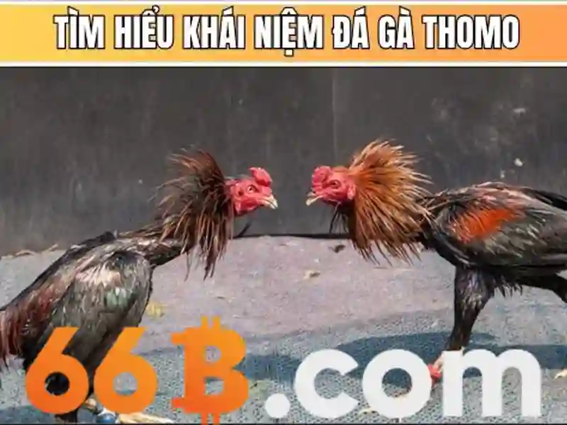 Các sản phẩm và dịch vụ của cờ caro 66b