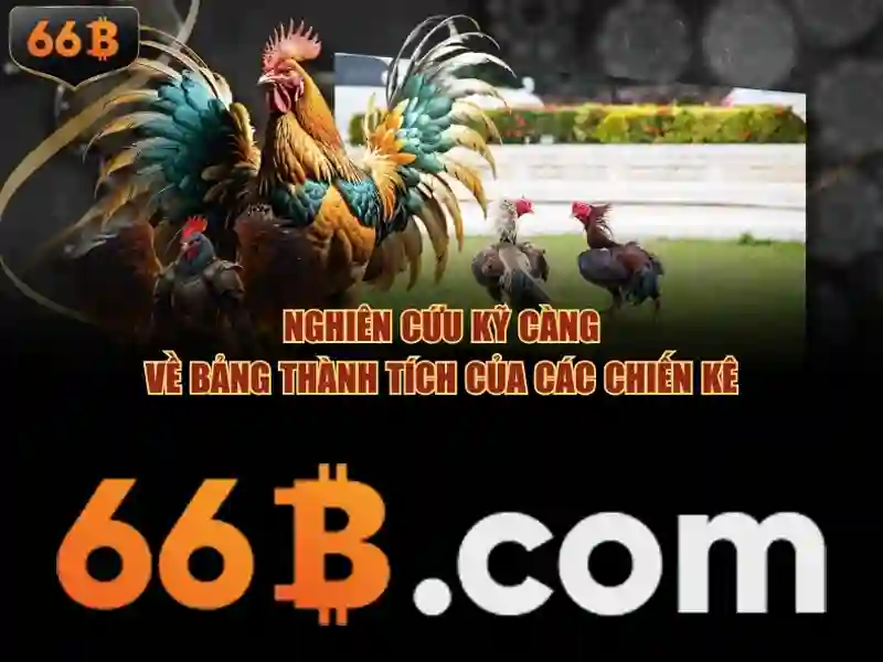 Cấu trúc và quy mô của 66b