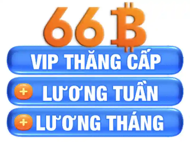 66b of the b – Tổng quan