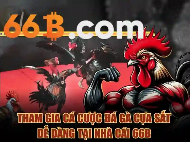 66b: Ý nghĩa và ứng dụng