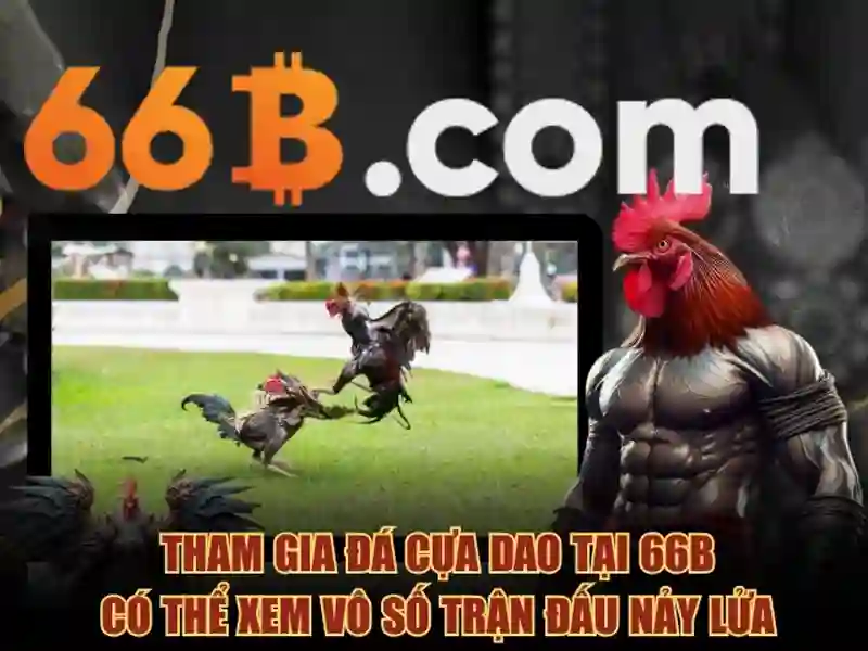 Thong-tin-xo-so-cho-nguoi-choi