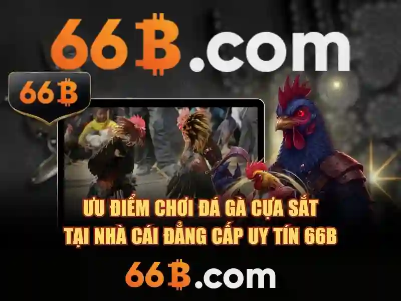66b: một khái niệm thiết kế và công nghệ