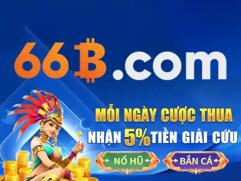 tong quan dieu khoan su dung tai nha cai 66b