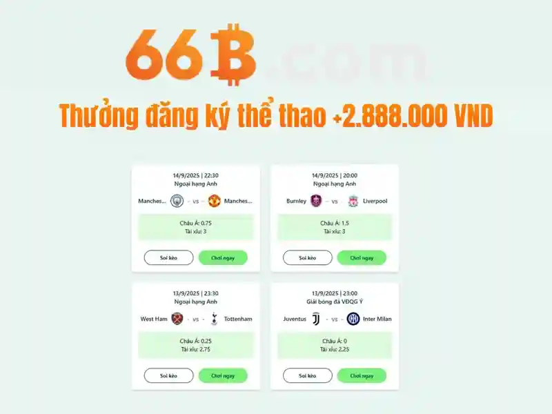 66b là gì trong thế giới công nghệ hiện đại