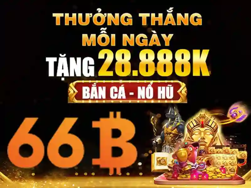 Các ứng dụng của 66b trong đời sống