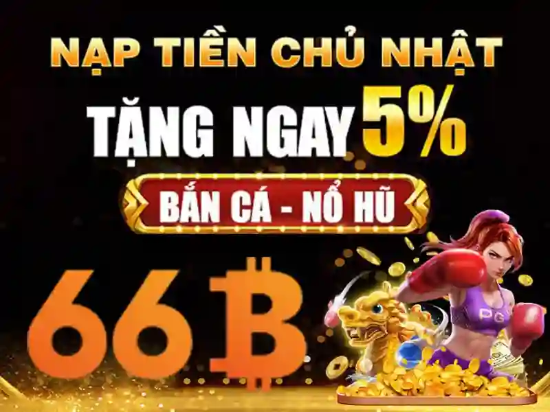 Giới thiệu về 66B
