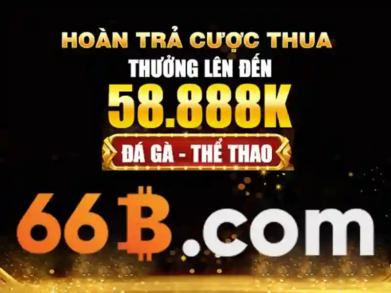66b trong thế giới số