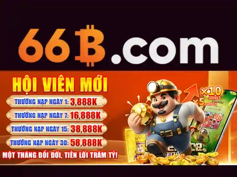 Giới thiệu về 66b\n\n